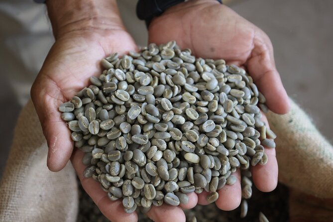 Kona Coffee Farm Tour from Tree to Tasting Room - The Views and the Drive: A Practical Reality Check