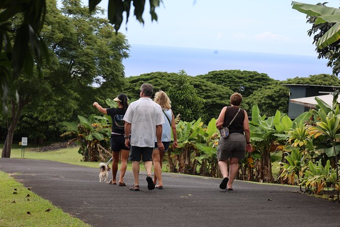 Kona Coffee Farm Tour from Tree to Tasting Room - What You’ll Actually Walk Through (So You Can Budget Your Time)