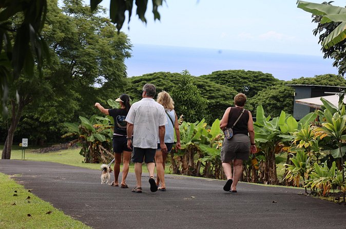 Kona Coffee Farm Tour from Tree to Tasting Room - Who Should Book This and Who Might Skip It