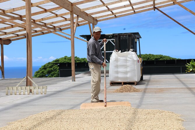Kona Coffee Farm Tour from Tree to Tasting Room - From Harvest to Processing: Mill and Drying Facility Time