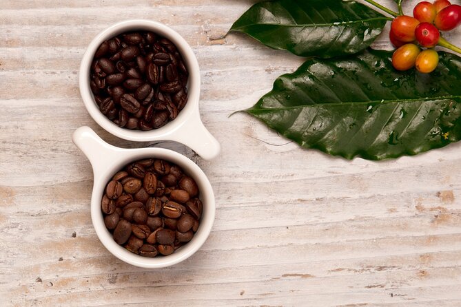Kona Coffee Tasting: A Farm to Cup Experience - Weather, Duration, and What Could Change