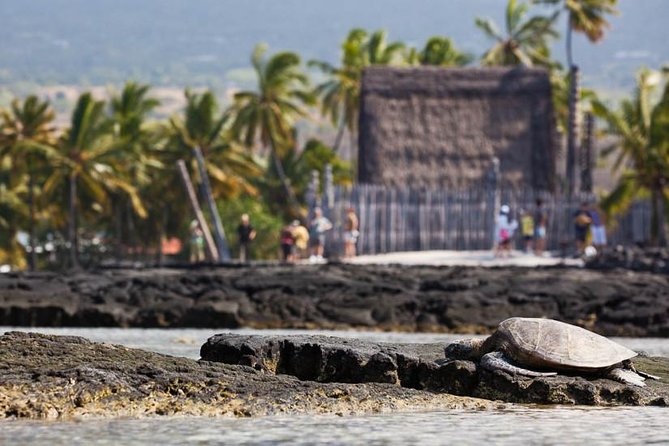 Kona Tour: Bee Farm, Kona Coffee, and National Historical Parks - Bay View Farm Lunch Over Kealakekua Bay: More Than Just Food