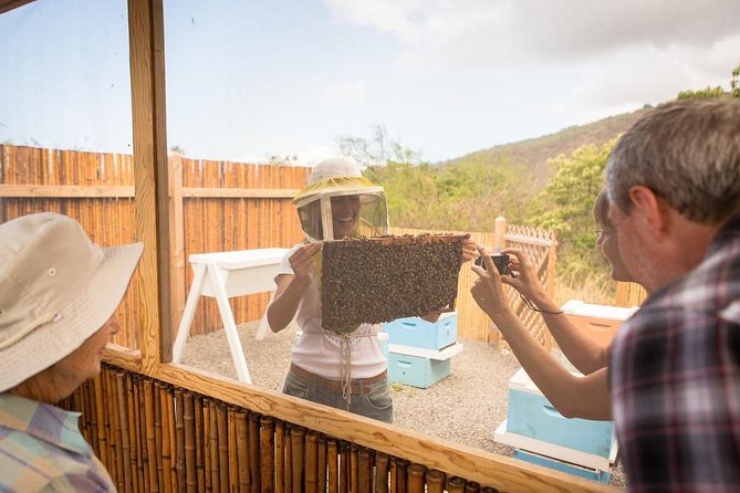 Kona Tour: Bee Farm, Kona Coffee, and National Historical Parks - Pu’uhonua o Honaunau: The City of Refuge Walk