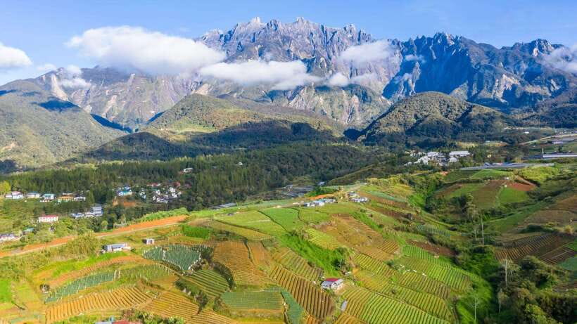 Kundasang: Day Tour with Desa Dairy Farm and Alpaca Club - A well-paced day out of Kota Kinabalu (and why “private” matters)