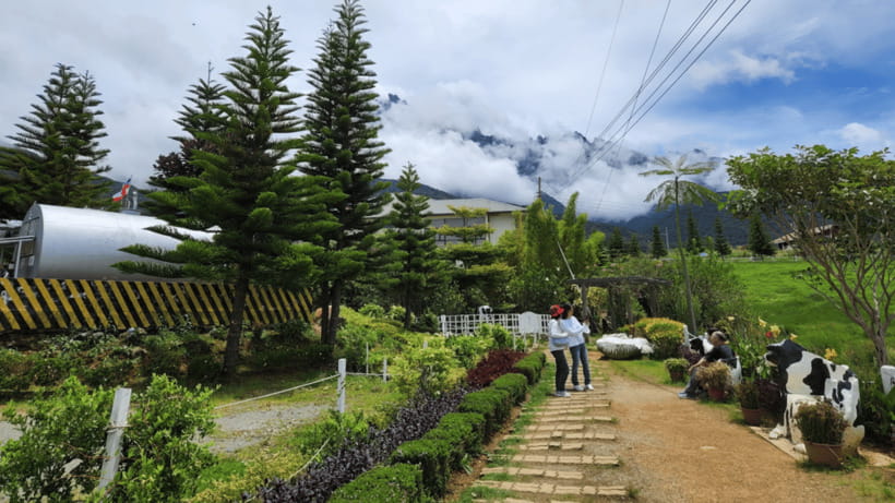 Kundasang: Day Tour with Desa Dairy Farm and Alpaca Club - Desa Dairy Farm in Kundasang: the working-farm experience you can feel