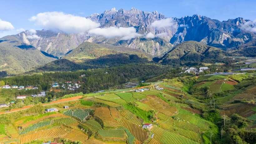 Kundasang: Day Tour with Desa Dairy Farm and Alpaca Club - Sabah City Mosque: a short cultural stop that closes the loop