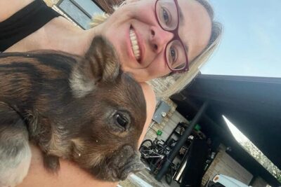 KuneKune Pig Farm Tour - Stop 1: KuneKune Pig History, Piglet Time, and Treat-Sit Lessons
