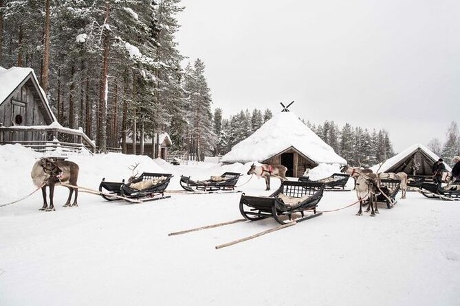 Kuoksa Reindeer Farm Visit with a Short Sleigh Ride - Key Highlights You’ll Want to Know