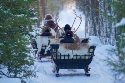 Kuoksa Reindeer Farm Visit with a Short Sleigh Ride - Pickup, Pekankatu 3 Meeting Point, and the 3-Hour Rhythm