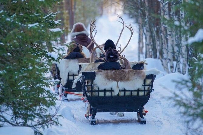 Kuoksa Reindeer Farm Visit with a Short Sleigh Ride - Pickup, Pekankatu 3 Meeting Point, and the 3-Hour Rhythm