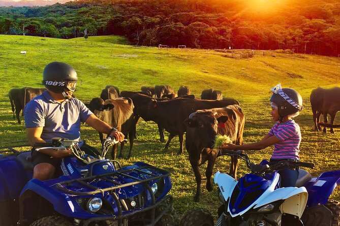 Kuranda 60 minute Quad Bike Experience and Petting Farm - Where this Kuranda quad-bike + farm day fits best
