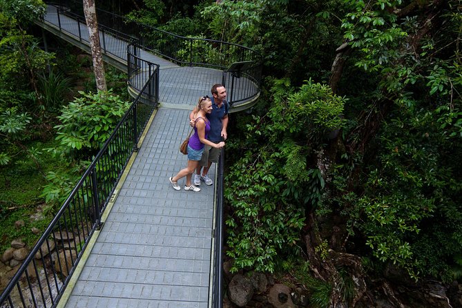 Kuranda 60 minute Quad Bike Experience and Petting Farm - Stop 1: KUR-Cow Barnwell Farm and the animal-friendly setup