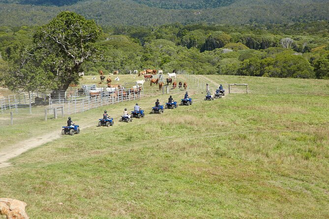 Kuranda 60 minute Quad Bike Experience and Petting Farm - Petting zoo time and horse stable access