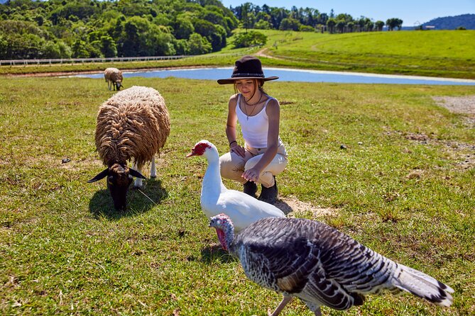 Kuranda 60 minute Quad Bike Experience and Petting Farm - Safety gear and small-group pacing
