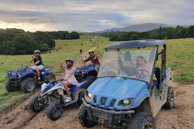 Kuranda 60 minute Quad Bike Experience and Petting Farm - Price and value: is $128.39 actually reasonable?