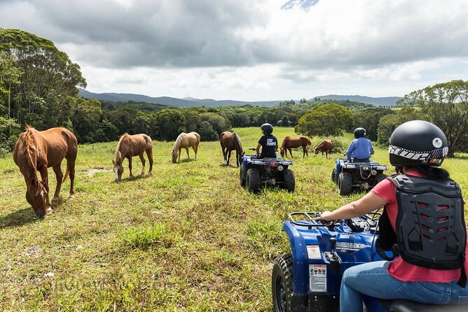 Kuranda 60 minute Quad Bike Experience and Petting Farm - Weather, comfort, and the reality of an outdoors tour