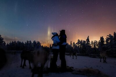 Kuusamo: Reindeer Farm Visit - Feeding the reindeer with lichen: the most memorable up-close moment