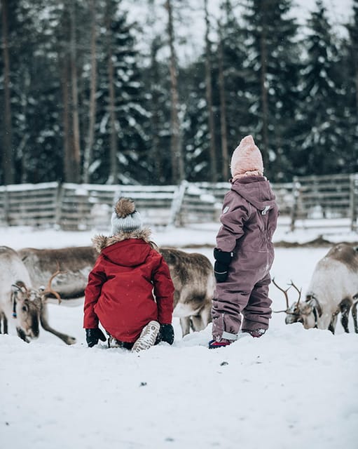 Kuusamo: Reindeer Farm Visit - Price and value: is $31 for one hour fair?