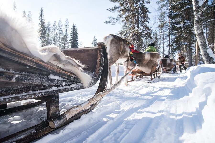 Kuusamo: Reindeer Sleigh Ride and Farm Visit - Key things to know before you go