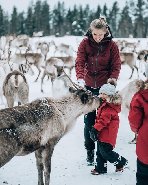 Kuusamo: Reindeer Sleigh Ride and Farm Visit - FAQ