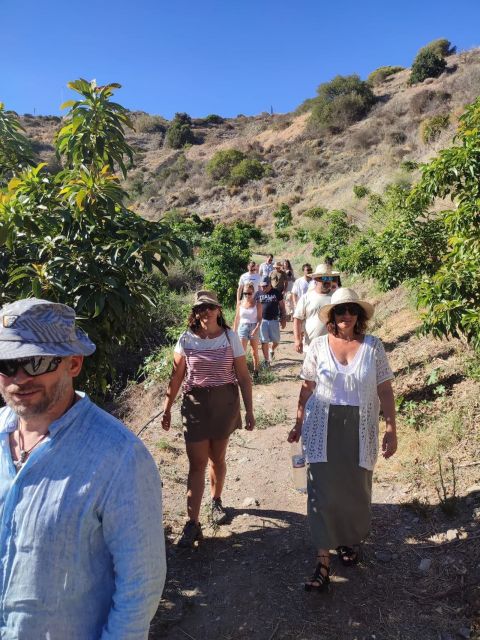 La Herradura Coffee Farm: tour in Europe's only plantation - Key highlights worth your time