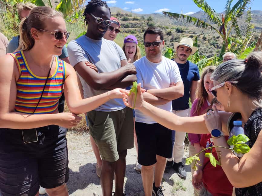 La Herradura Coffee Farm: tour in Europe's only plantation - Coffee to Roasting: How the Guide Connects Growing to Flavor