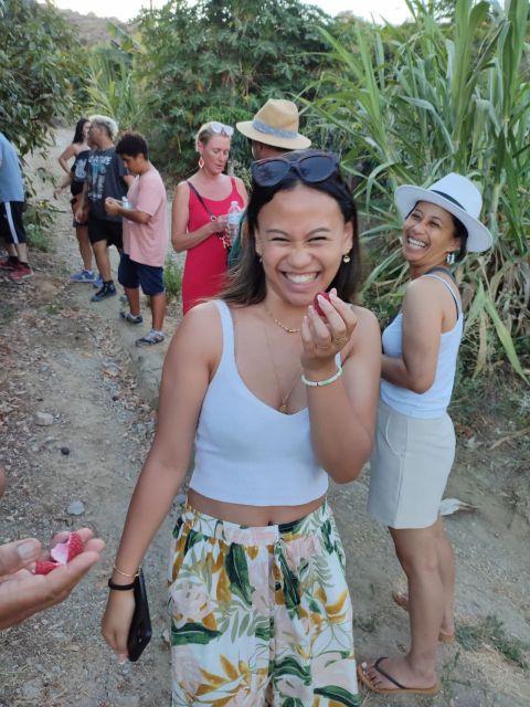 La Herradura Coffee Farm: tour in Europe's only plantation - Getting There on Foot: Meeting Point, Beach Area Access, and Steep Spots