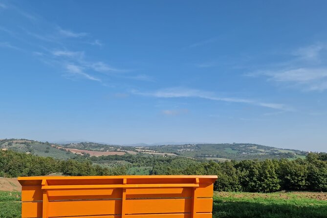 La Maliosa Farm Experience & Wine Tasting - Fattoria La Maliosa: Small-Farm Tuscany with Real-World Focus