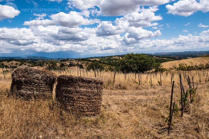 La Maliosa Farm Experience & Wine Tasting - Price and Value: What $54.06 Buys You in Real Terms