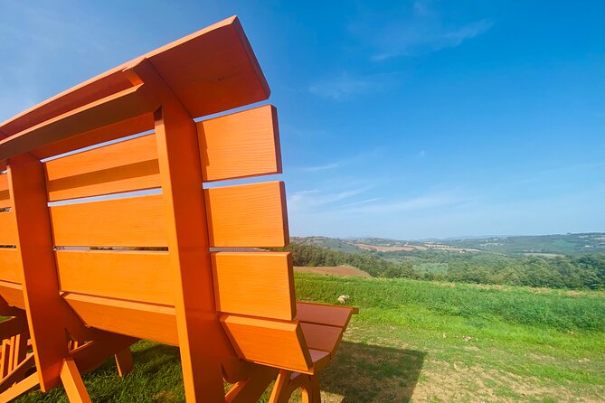 La Maliosa Farm Experience & Wine Tasting - Your 90-Minute Vineyard Walk: Viewpoints, Grape Varieties, and Appetite