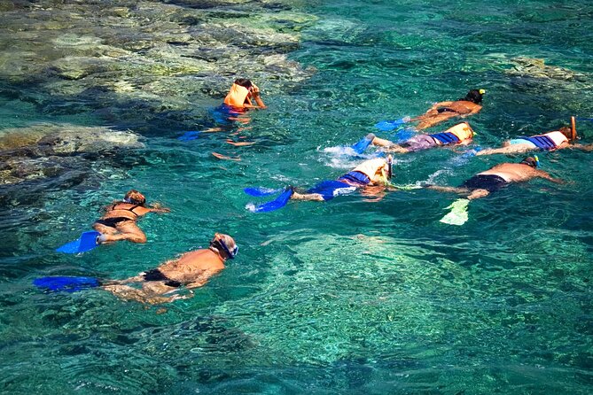 La Paz: Coral Farm Snorkel Tour - Key things to know before you go