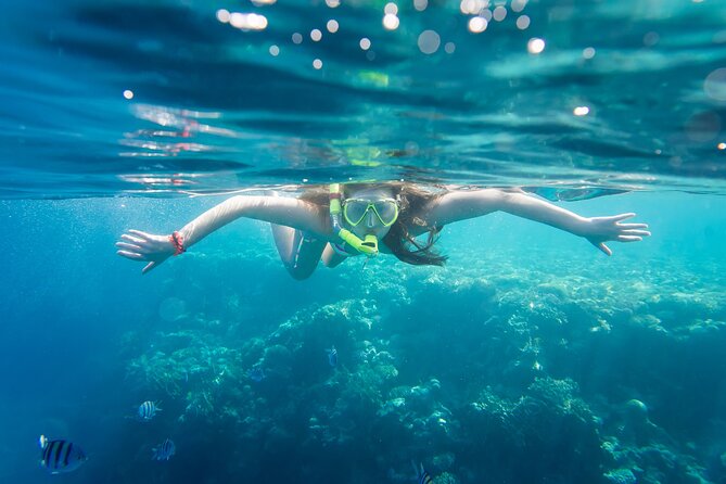 La Paz: Coral Farm Snorkel Tour - The 2-hour plan: talk on corals, nursery snorkeling, then Pichilingue reef