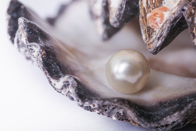 La Paz: Pearl Farm Experience and shop - Key highlights you’ll care about