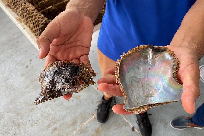 La Paz: Pearl Farm Experience and shop - The history angle: Queen Elizabeth and why it’s mentioned