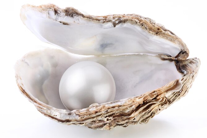 La Paz: Pearl Farm Experience and shop - The 2-part flow: story and then oysters