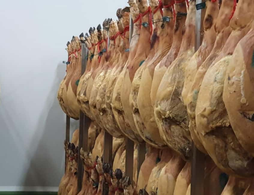 La Rioja: Jamon Iberico Farm Tour and Tasting with Wine - A 3-hour taste of La Rioja pig life in the Ocón Valley