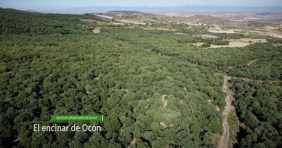 La Rioja: Jamon Iberico Farm Tour and Tasting with Wine - Starting at El Encinar: where Duroc piglets live and grow