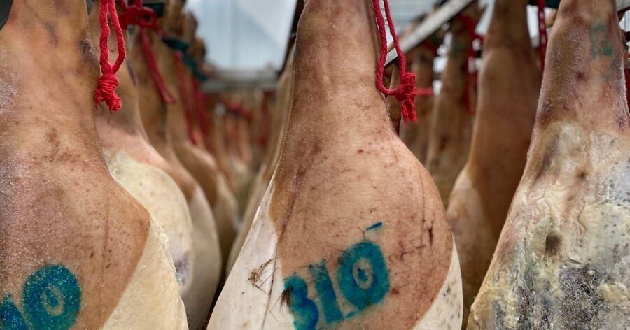 La Rioja: Jamon Iberico Farm Tour and Tasting with Wine - Who should book this tour (and who might not love it)