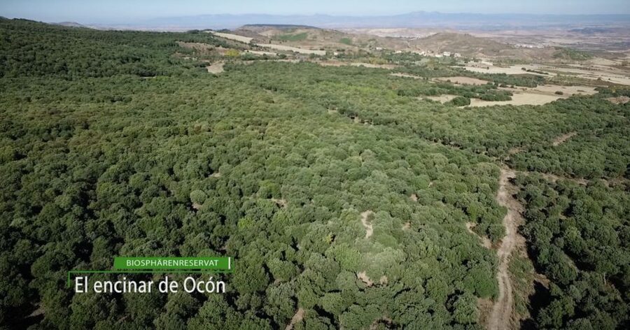 La Rioja: Jamon Iberico Farm Tour and Tasting with Wine - Starting at El Encinar: where Duroc piglets live and grow