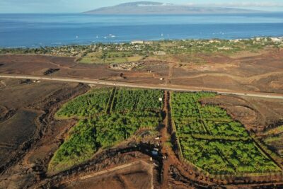 Lahaina: Maui Ku'ia Estate Guided Cacao Farm Tour and Tasting - The drive to the West Maui cacao estate