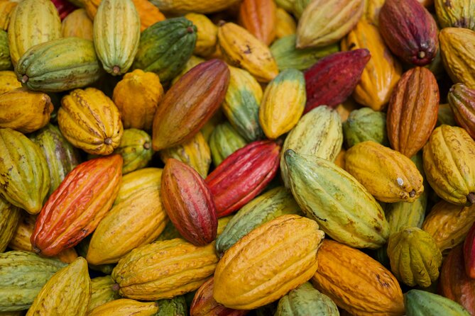 Lahaina: Maui Ku'ia Estate Guided Cacao Farm Tour and Tasting - How much is $99.48, and is it good value?