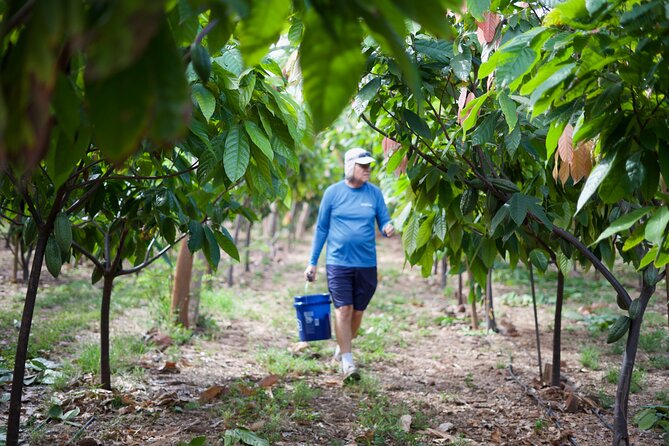 Lahaina: Maui Ku'ia Estate Guided Cacao Farm Tour and Tasting - What your guide adds: Shawn, Brandy, Mandy, Steph