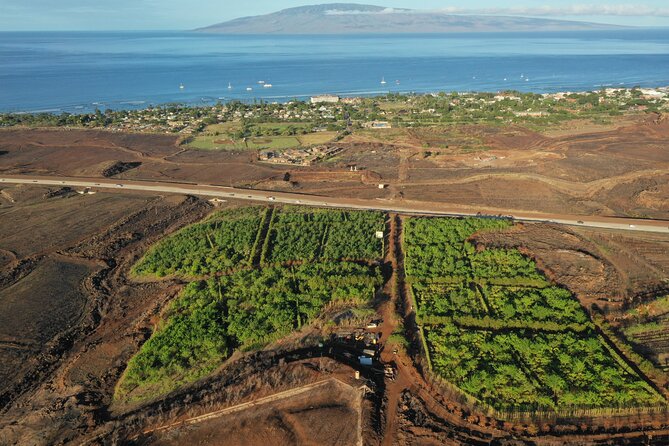 Lahaina: Maui Ku'ia Estate Guided Cacao Farm Tour and Tasting - The drive to the West Maui cacao estate