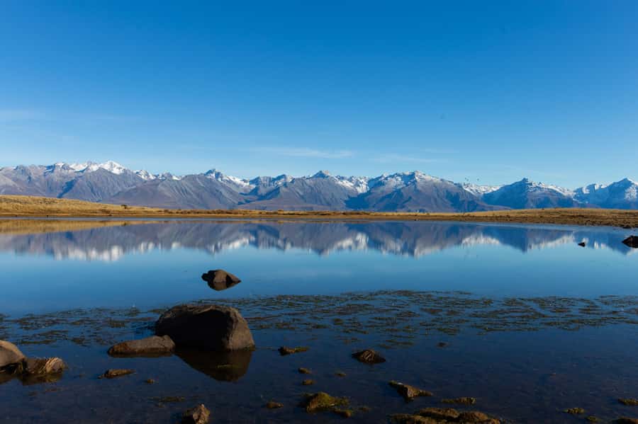 Lake Tekapo High Country Farm Tour (Carbon Positive) - Honey, fresh spring water, and those small moments