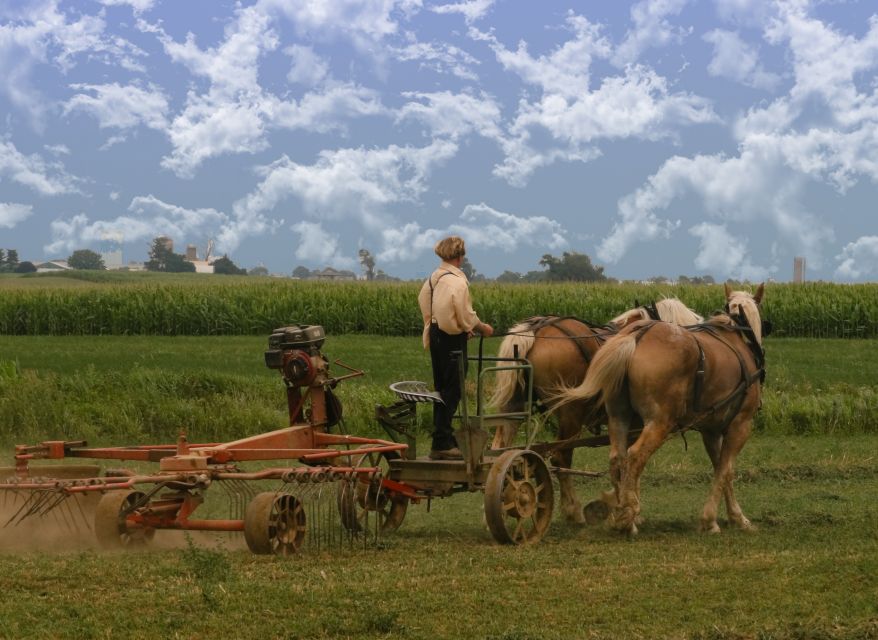 Lancaster County: Amish Farmlands, Museum Tour, Farm Visit - Who this tour suits best (and who should adjust expectations)