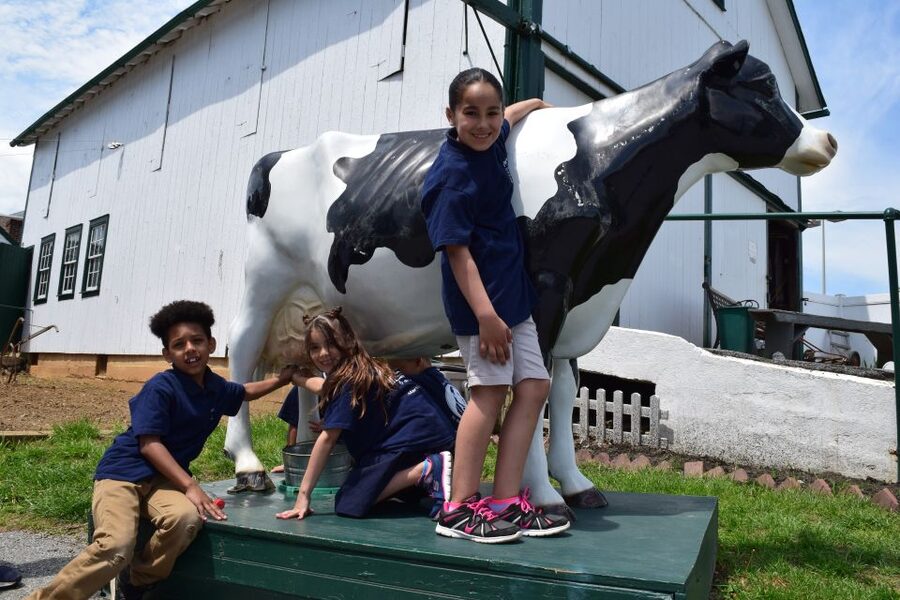 Lancaster County: Amish Farmlands, Museum Tour, Farm Visit - The private 14-passenger bus ride through Amish farmland