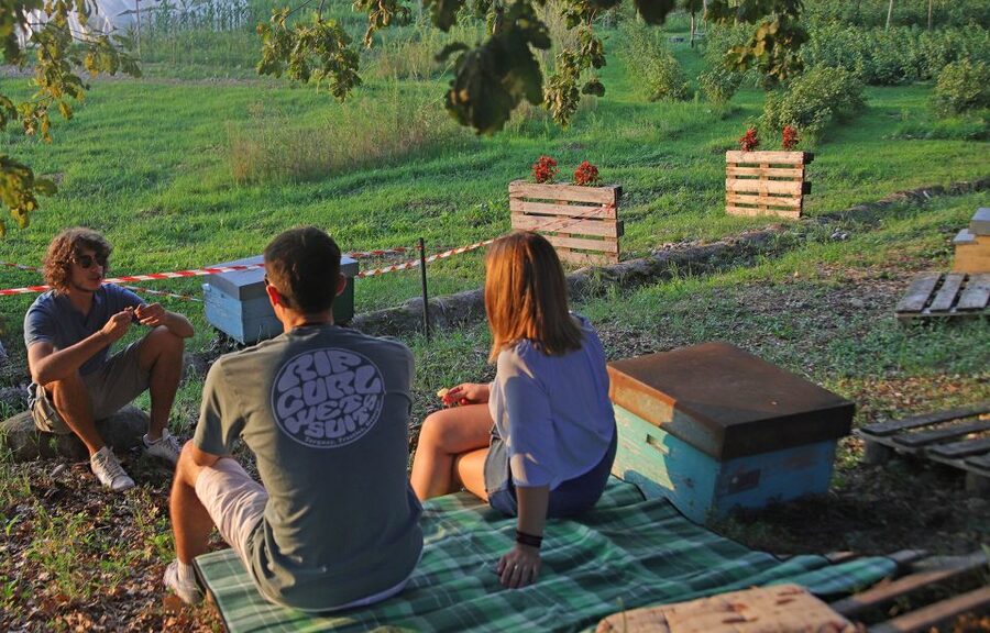 Lazise: Beekeeping Farm Tour and Tasting Experience - What Makes This Tour Worth $46: Value on Lake Garda