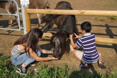 Lazise: Biodynamic Farm Tour and Natural Wine Tasting - The Farm Tour: Vines, Gardens, Beehives, and Animals