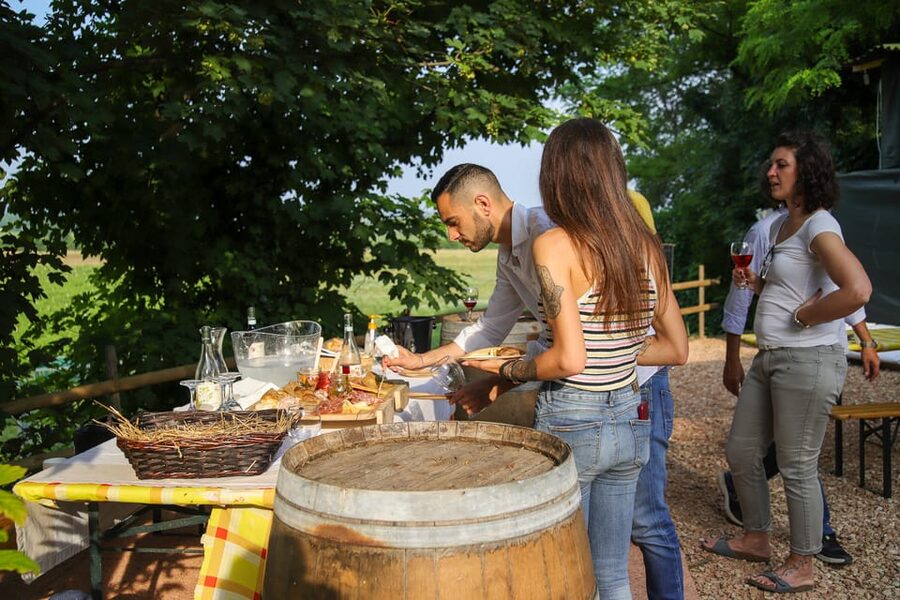 Lazise: Biodynamic Farm Tour and Natural Wine Tasting - Who This Tour Suits Best (and Who Should Skip It)