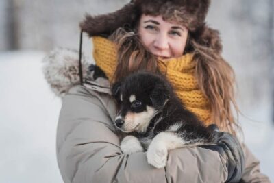 Levi: Horse and Husky Farm Visit with Juice and Cookies - Husky time: training, routine, and winter sled work